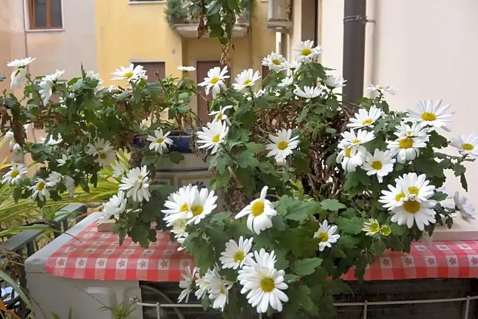 Casa Felice