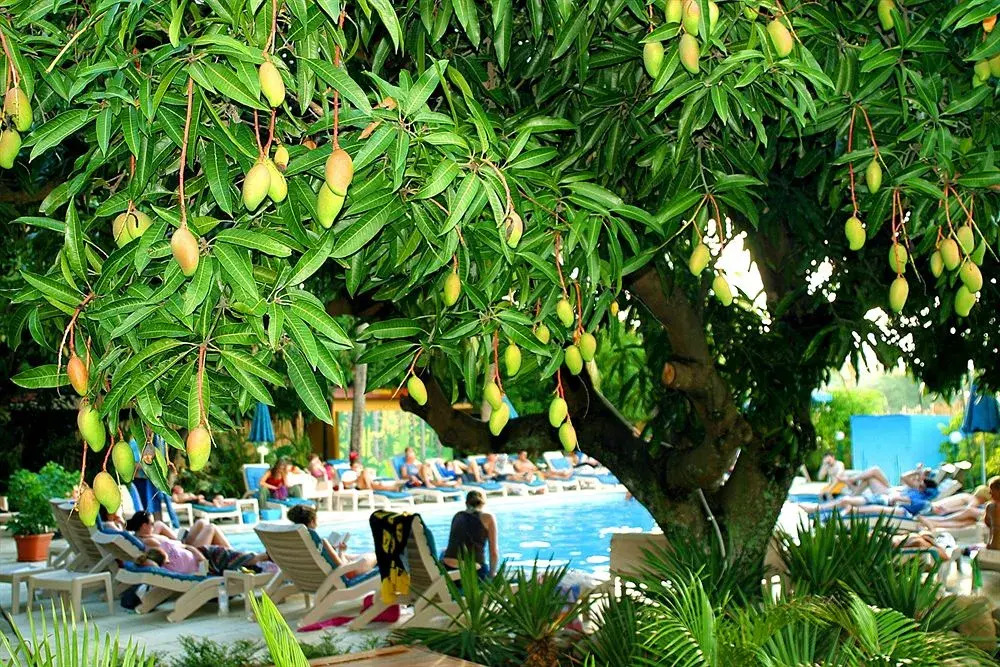 Nadi Bay Resort