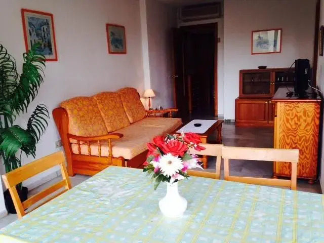 Apartamentos Turisticos Mediterraneo 43