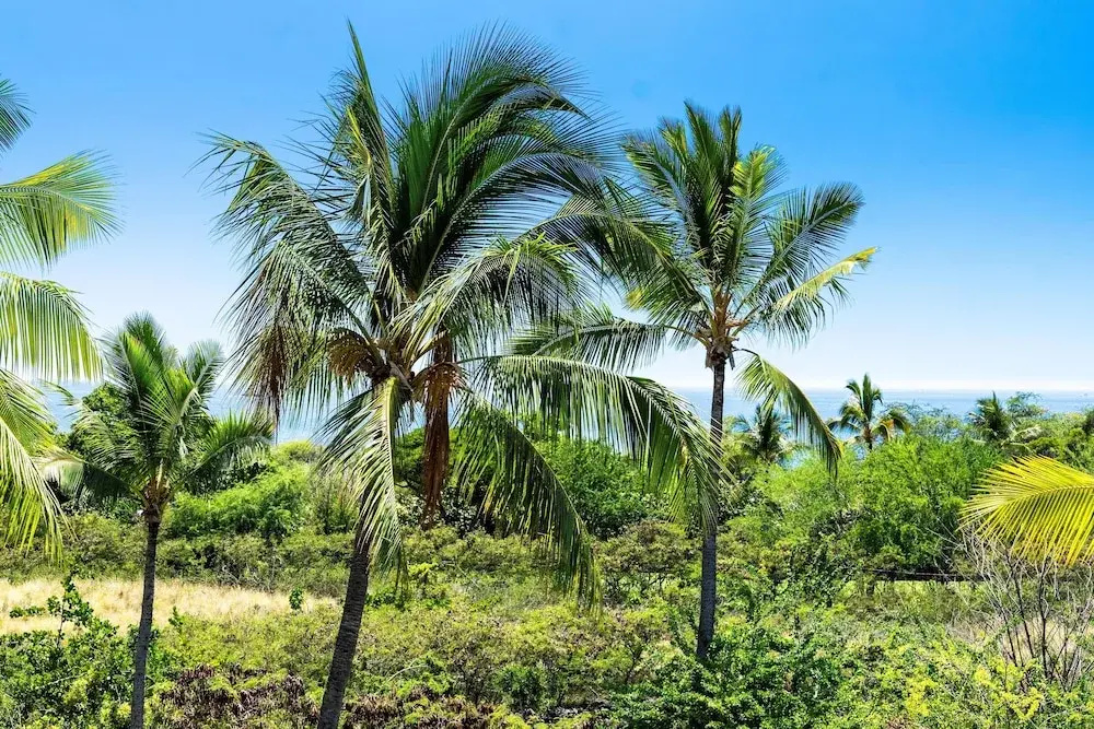 Big Island Keauhou Punahele by Coldwell Banker Island Vacations