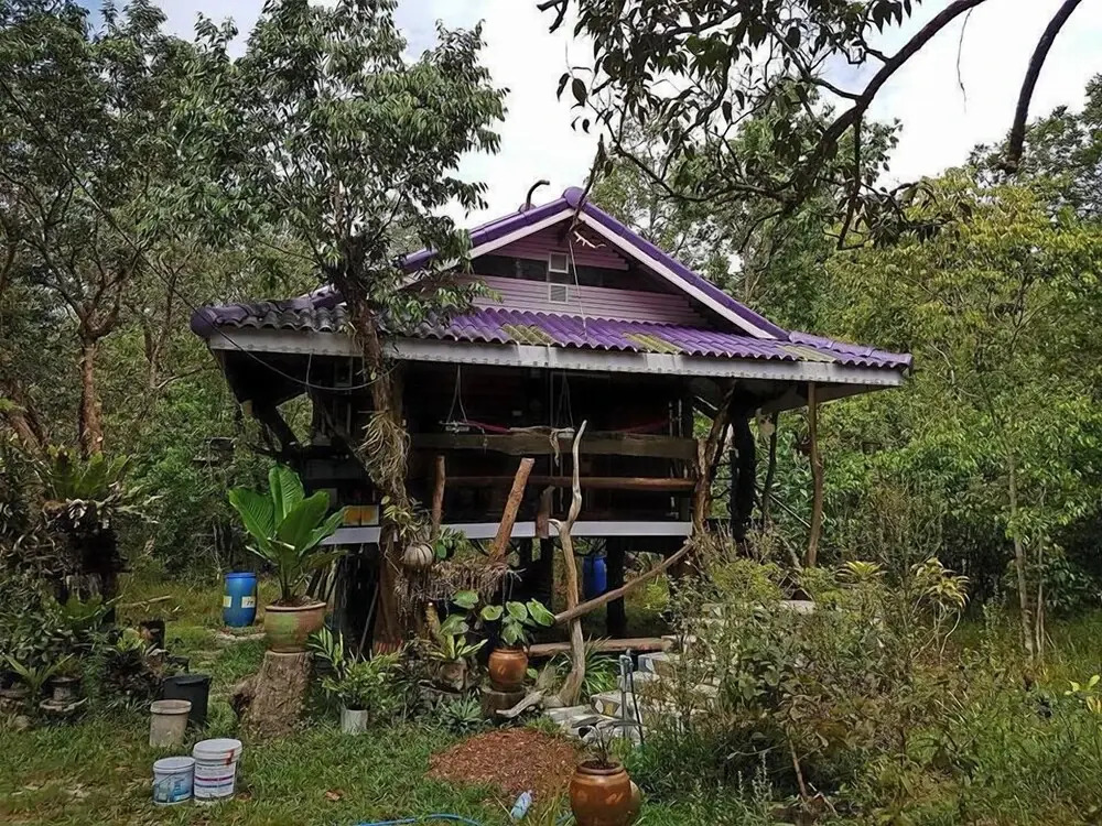 Big Boss Resort