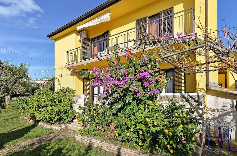 Apartment 1956