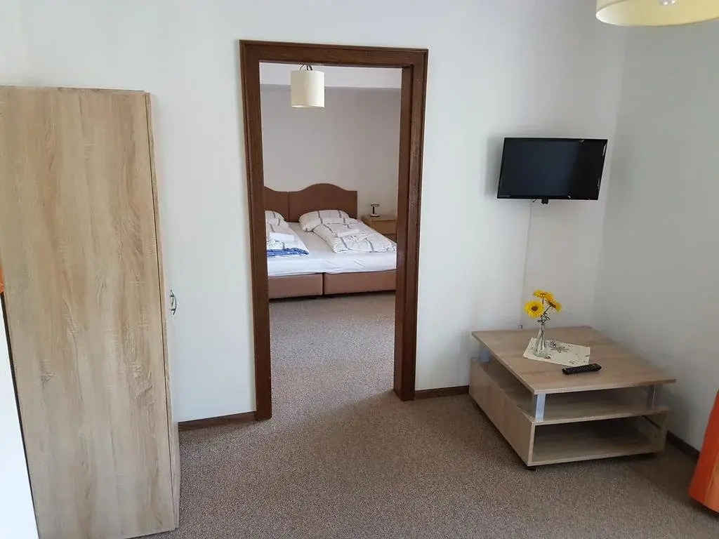 Alpina Apartments - Zell am See - Air Condition
