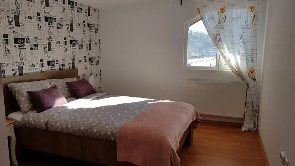 Prahova Valley Apartment