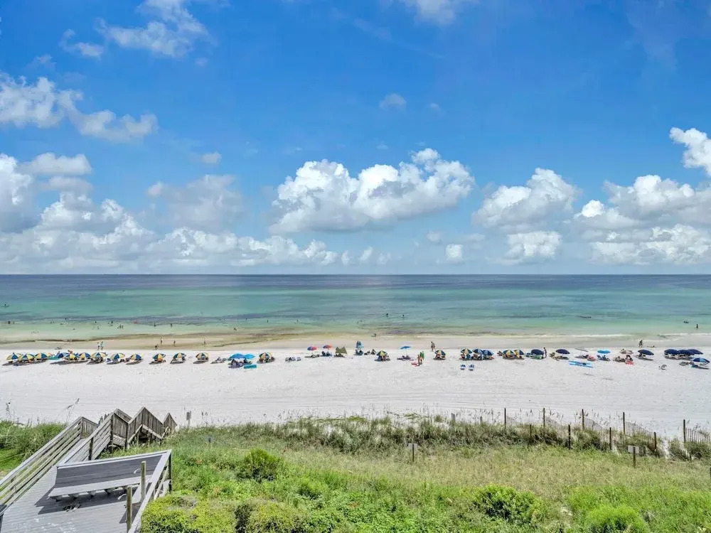 Sago Sands 301