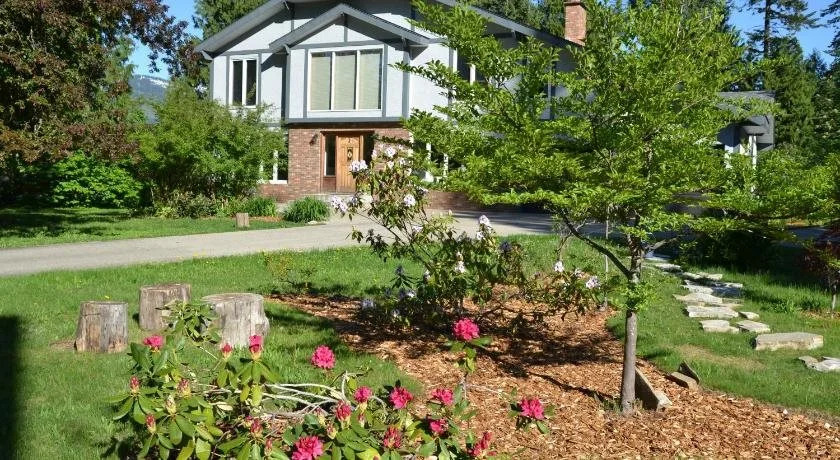 The Pines Bed & Breakfast, B&B