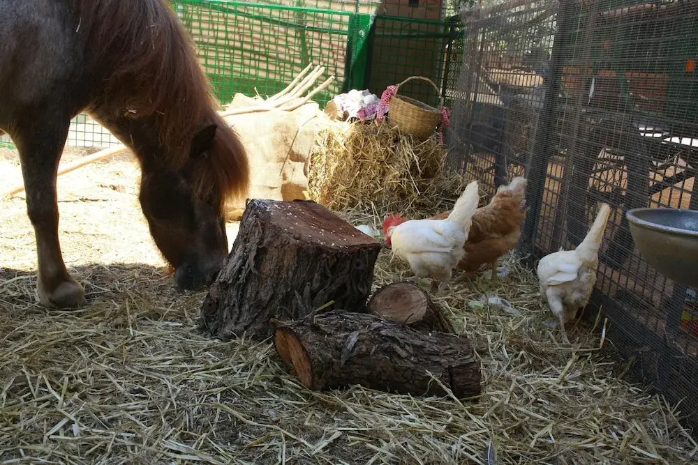 Hacienda con Granja cerca del Mar para Celebraciones