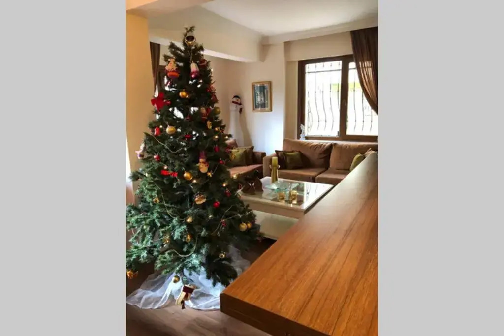 Comfy 3 Room House with Garden