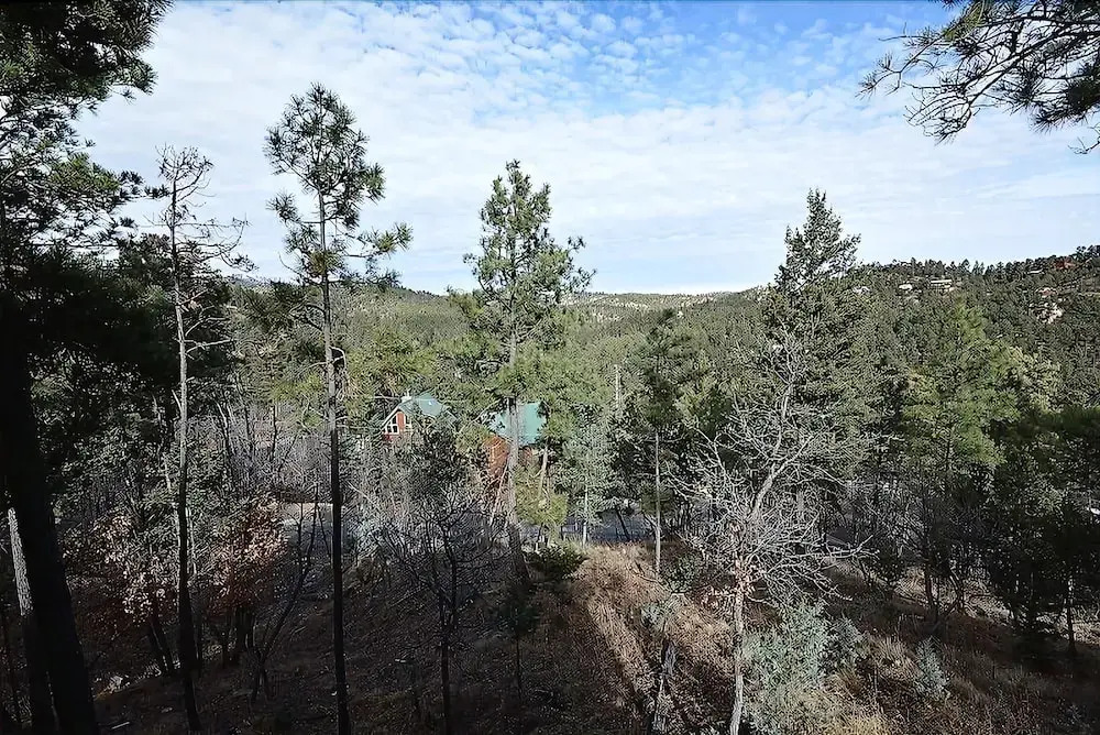 Bare Bear - Two Bedroom Cabin