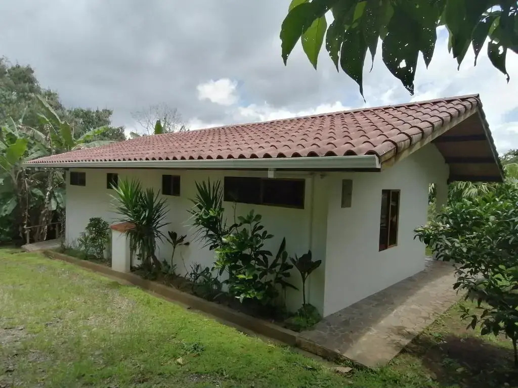 La Ceiba Tree Lodge
