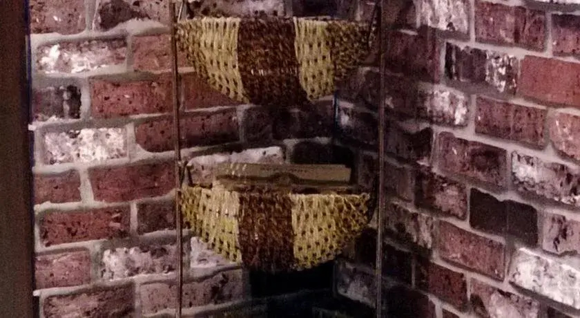 Xi'an Hometown Hostel
