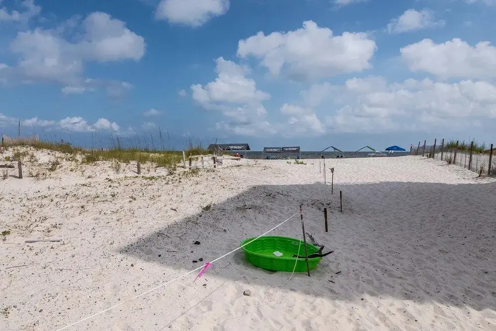 Sandy Toes 4 Bedroom Home by RedAwning