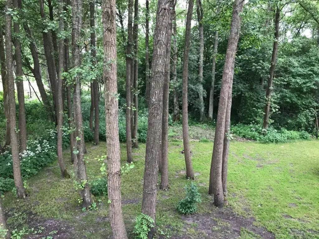 New Provence Style 2 Floor Apartment In Palanga