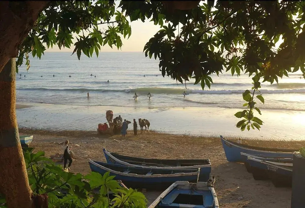 Argan surf house
