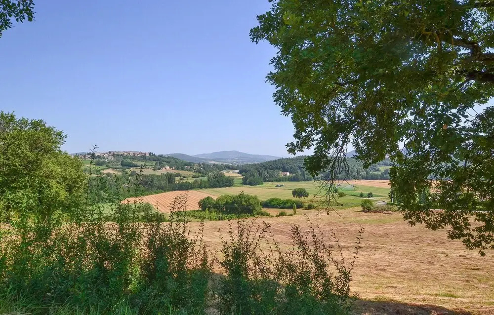 Stunning Home in Città di Castello With Outdoor Swimming Pool, Wifi and 3 Bedrooms