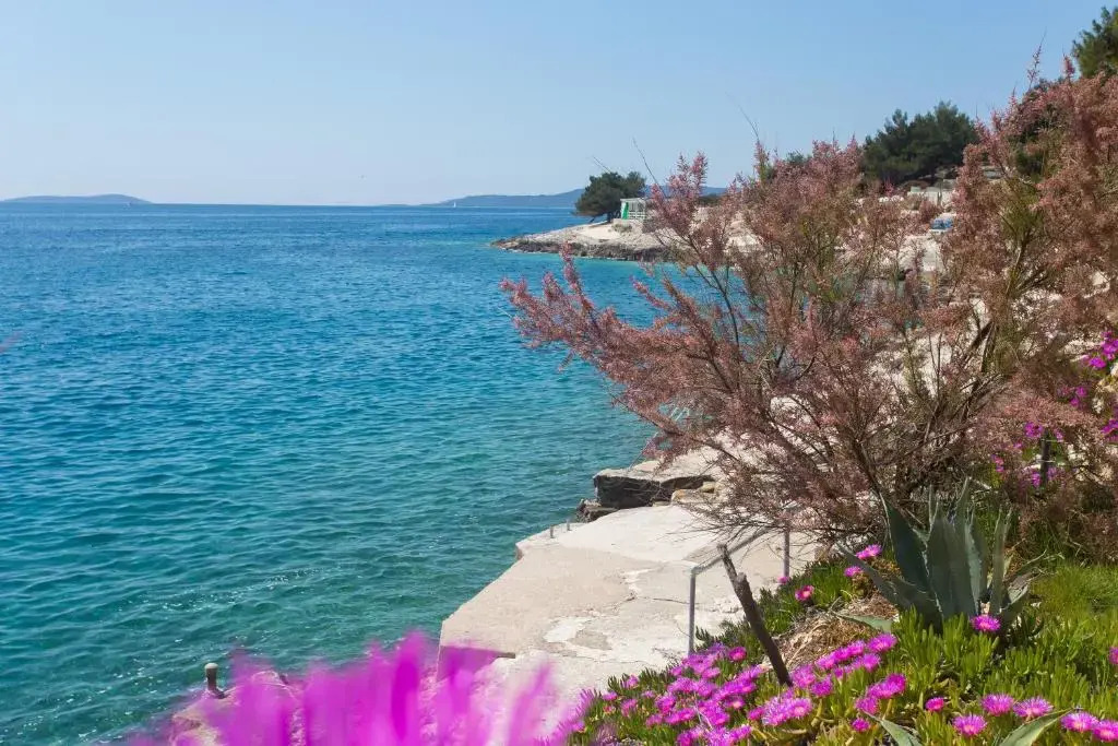 Apartments Bandić - 30 meters to the beach