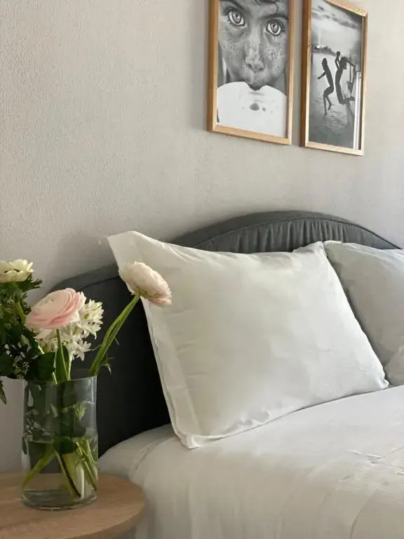 Casimiro Home 49