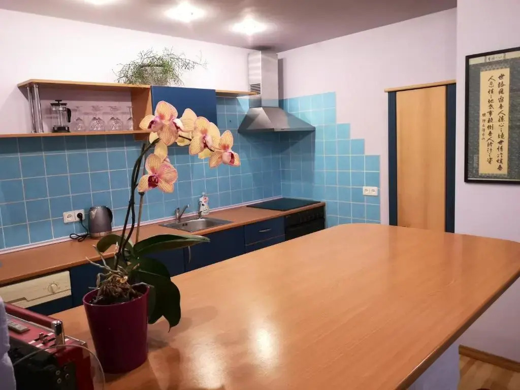Park apartment