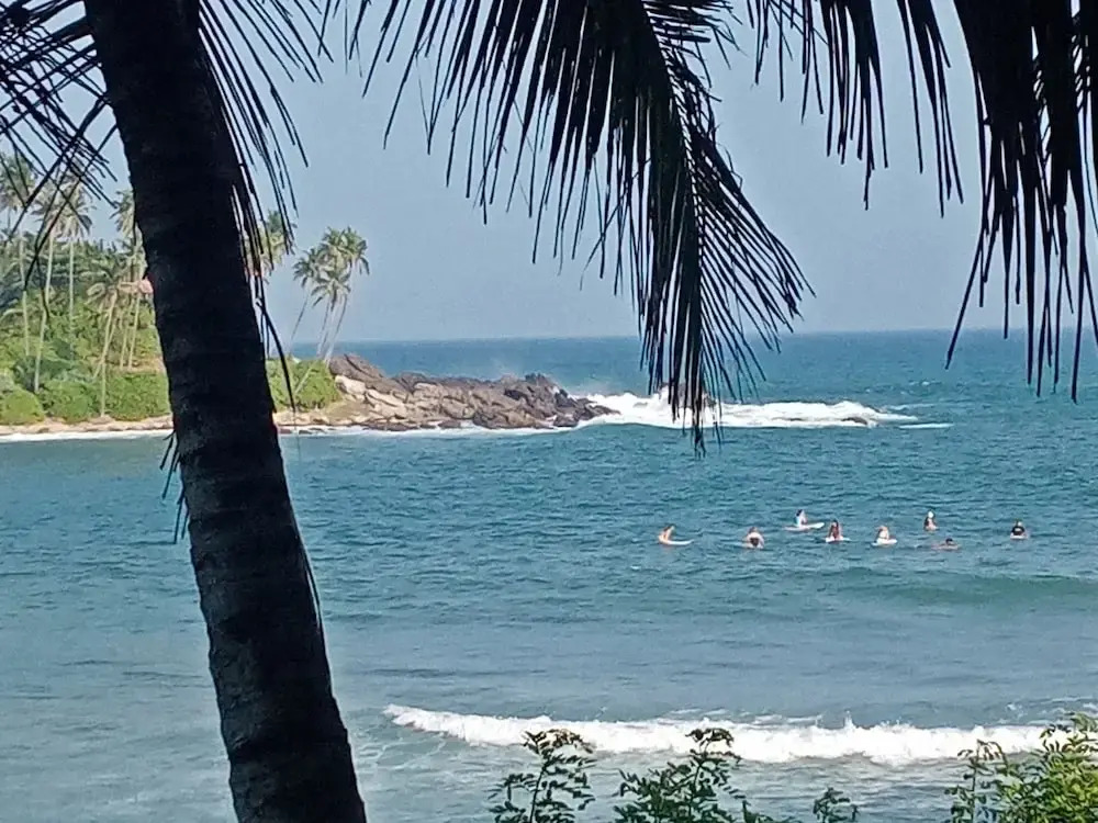 Surf Paradise