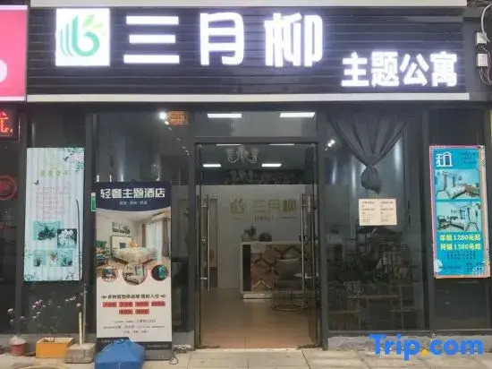 March Liu Theme Apartment