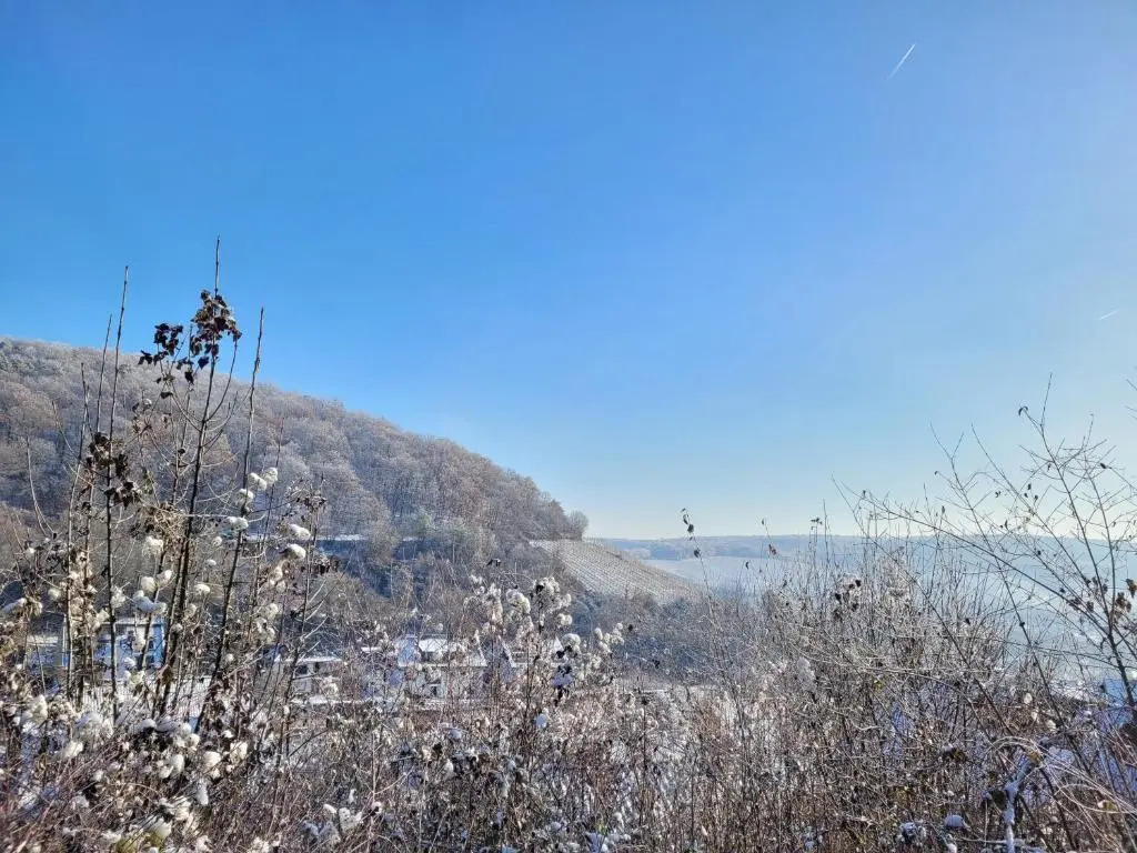 Ahrtal Vier Sterne Ferienwohnungen Alexandra Weiler Panorama