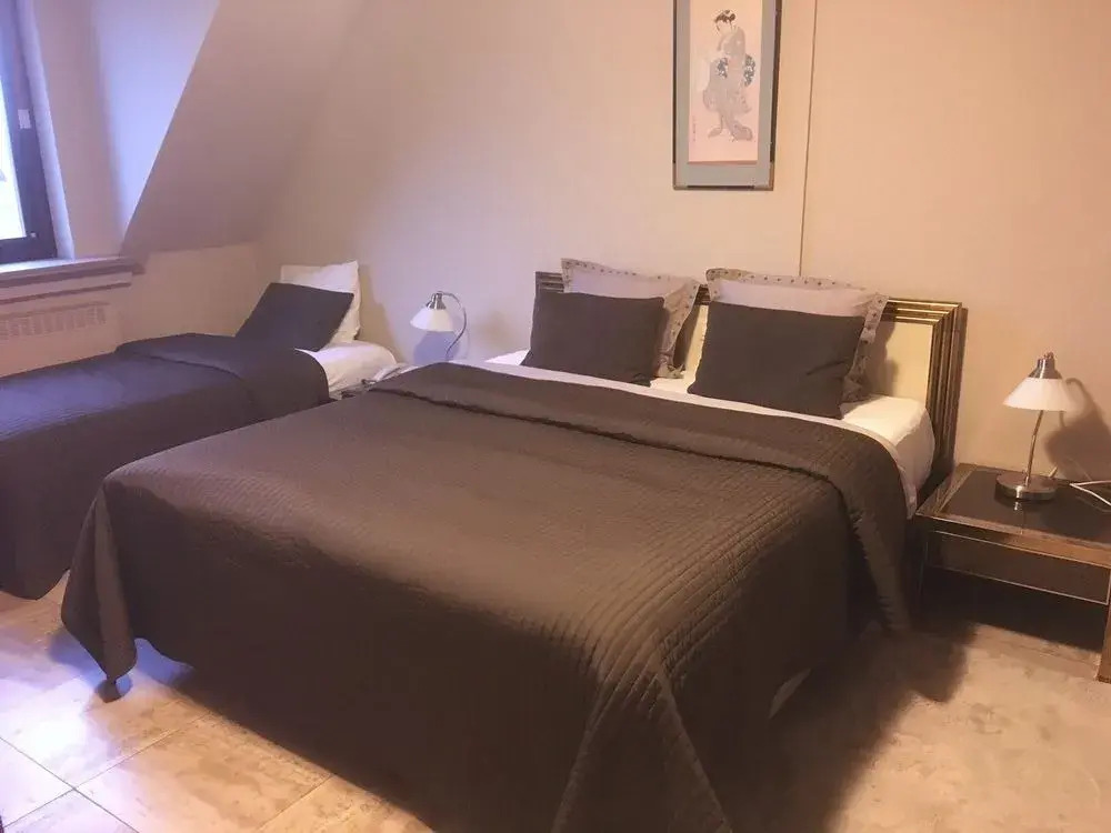 Hotel The New Fox