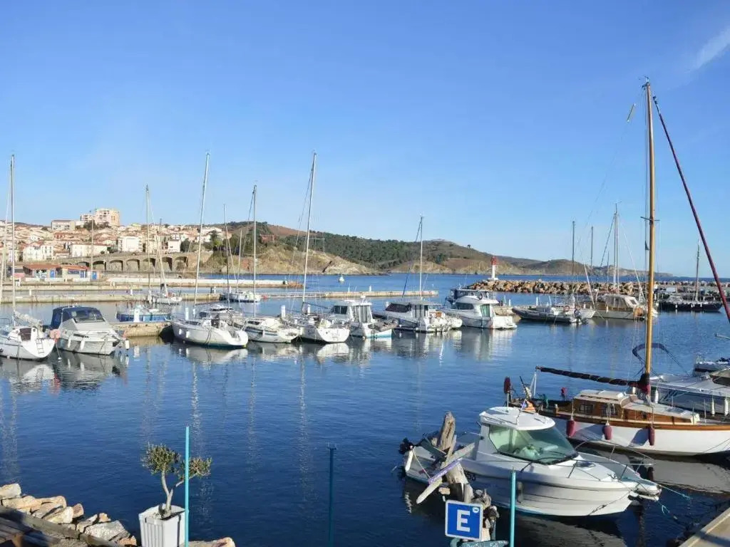 Appartement Banyuls-sur-Mer, 2 pièces, 4 personnes - FR-1-225C-31