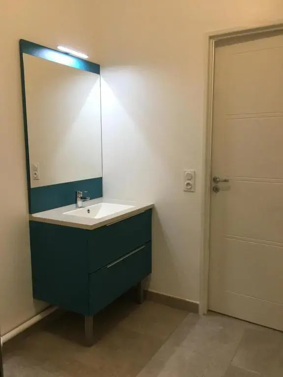 Appartement calme,lumineux ,coeur culturel deTOURS
