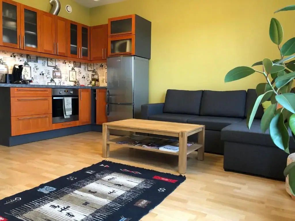 Apartment near centre
