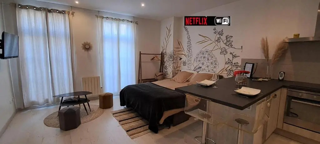 Les Arcades Studio Coeur de Ville, Cholet, Wi-fi, Netflix, Canal+
