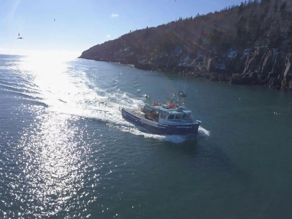 Whale Cove Inn