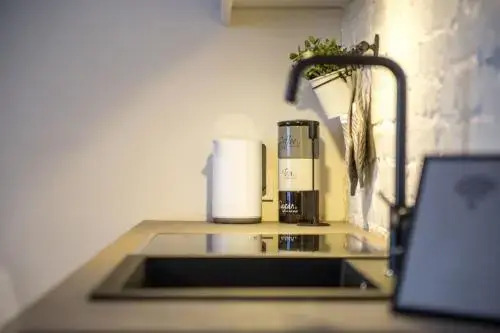 Downtown Apartment Rentals