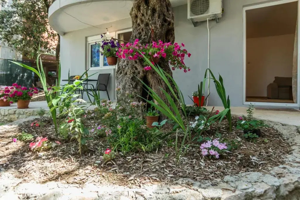 Apartments Radost