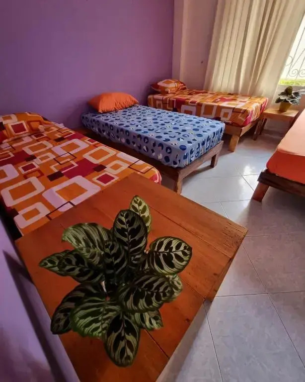 Tatami Hostel