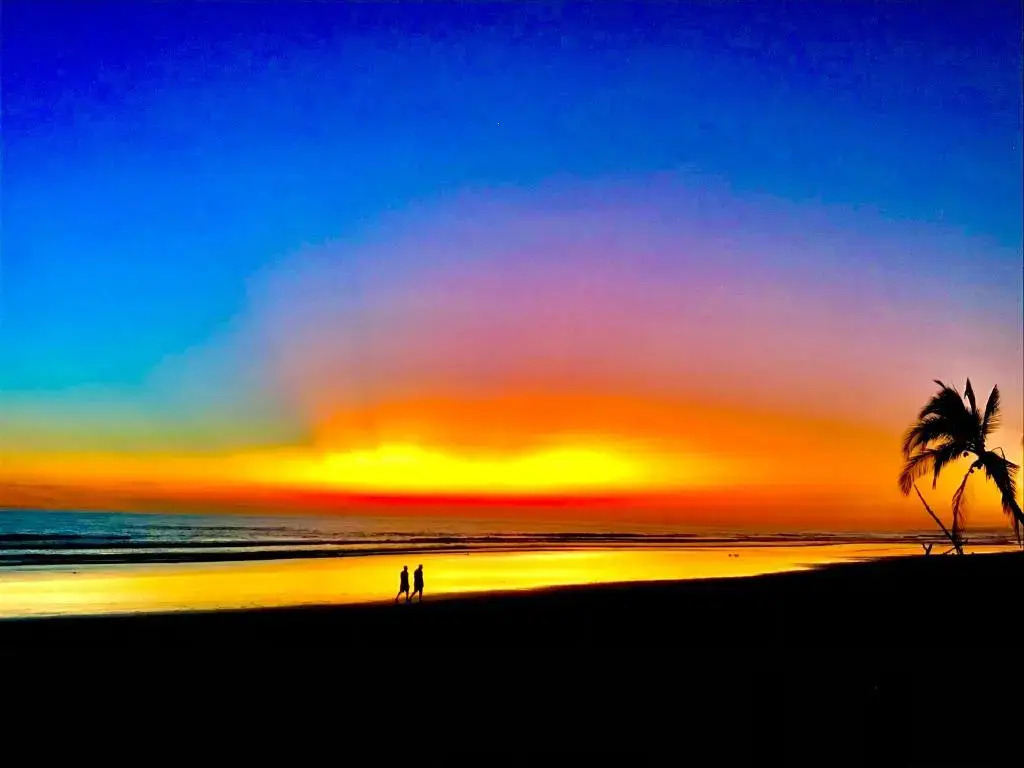 Beachfront Meditation