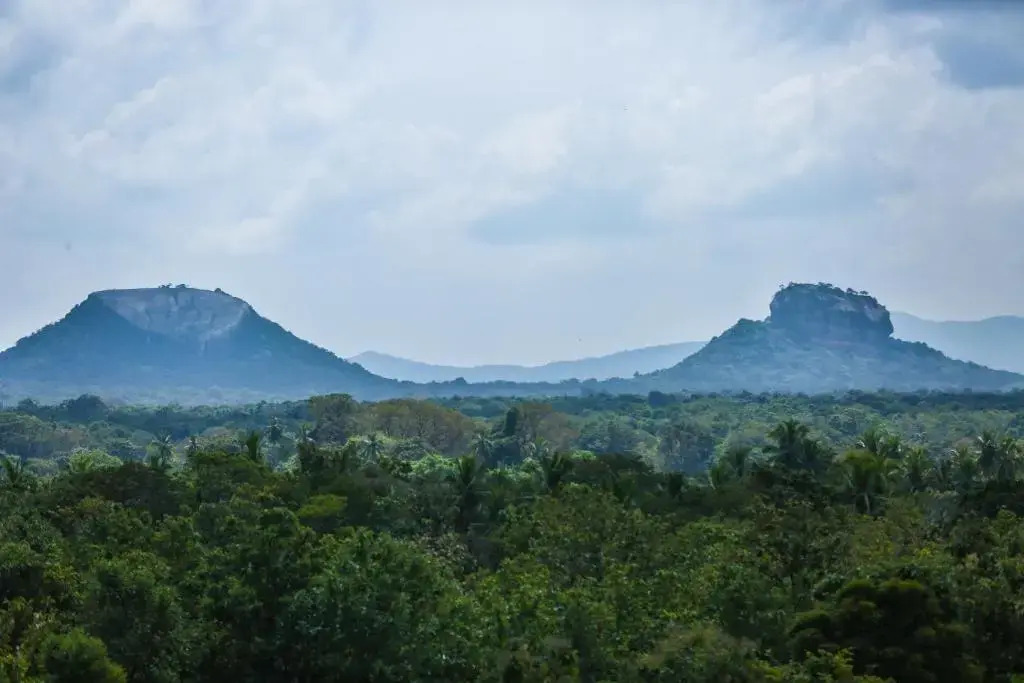 Kaveri Ayurveda Resort
