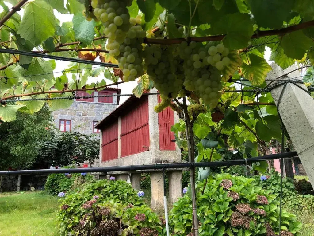 Quinta de Maderne