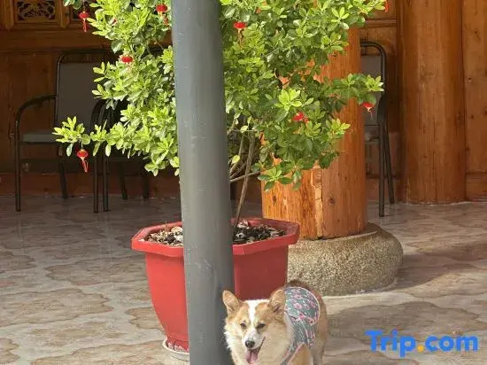 Qingke Xiangju  Homestay