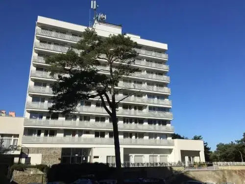 Rybak