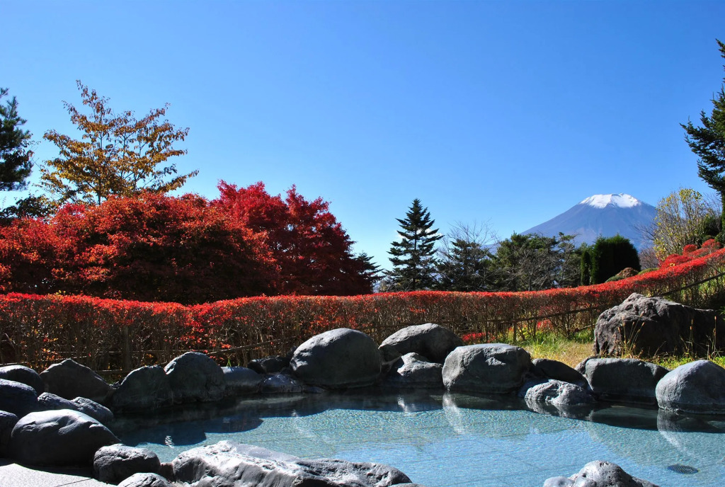 Hotel Mt. Fuji