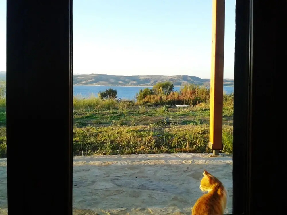 Marvelous Sea View Eco Studio