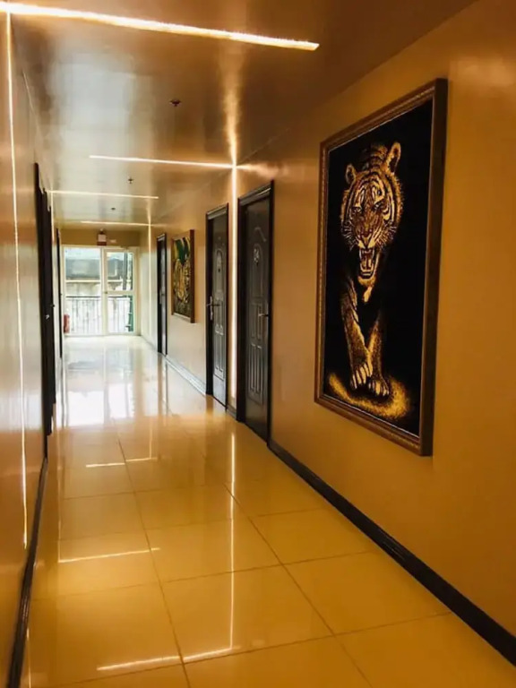 Dream Hotel