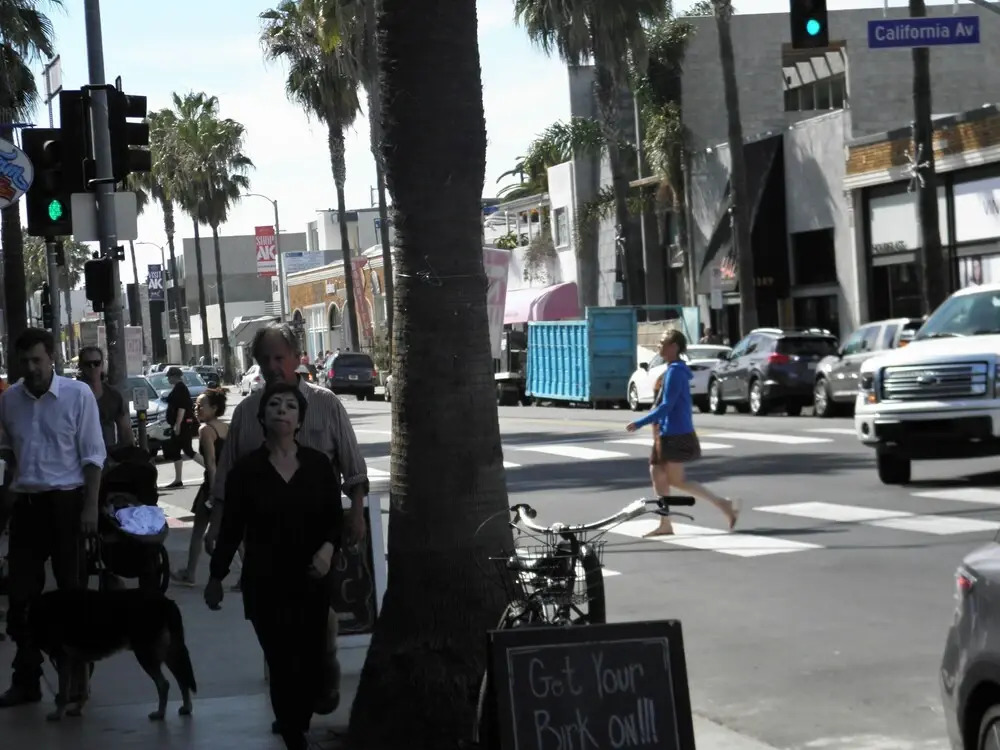 Abbot Kinney Apartment