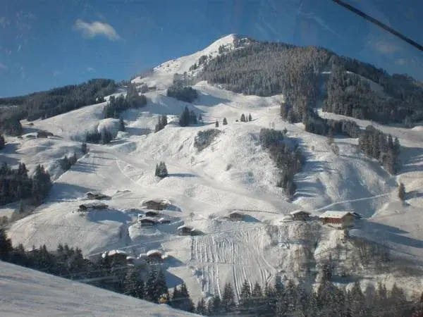 Pension Falkenstein