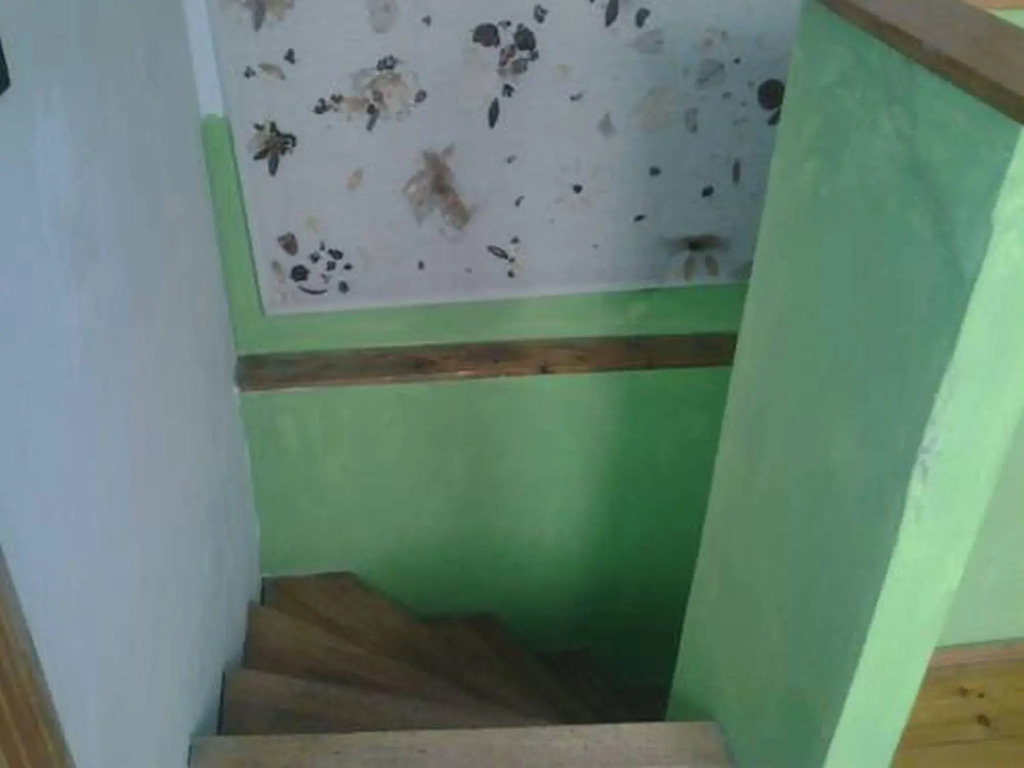 Ace Hostel