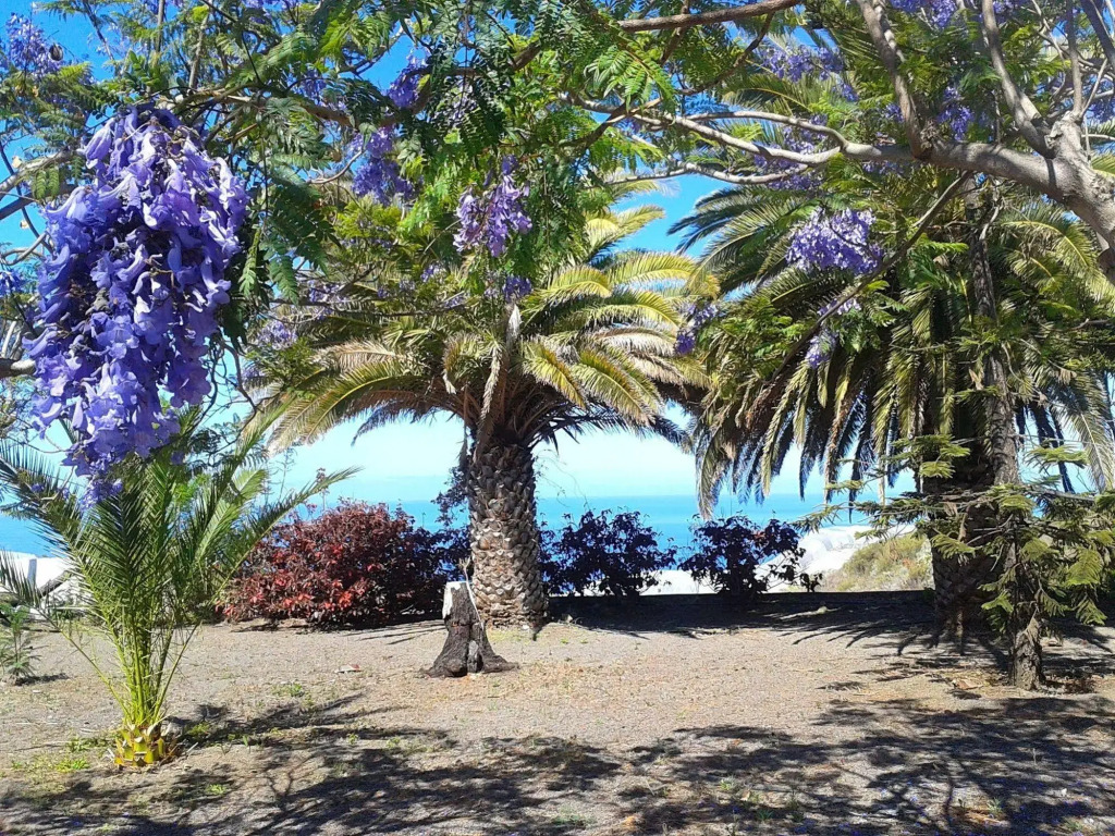 La Palma Sun Nudist