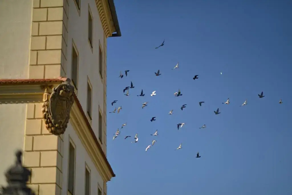 Apartmány Belveder
