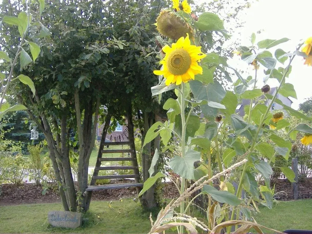 Schmidt´s Pension
