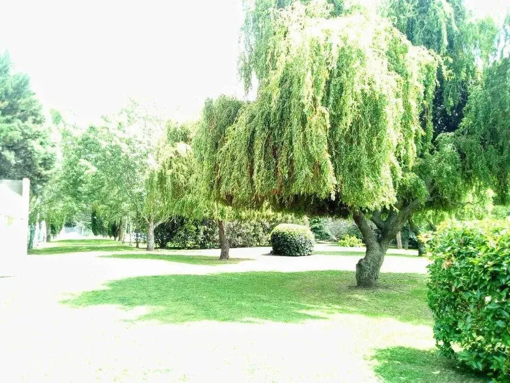 VILLAGE PARK