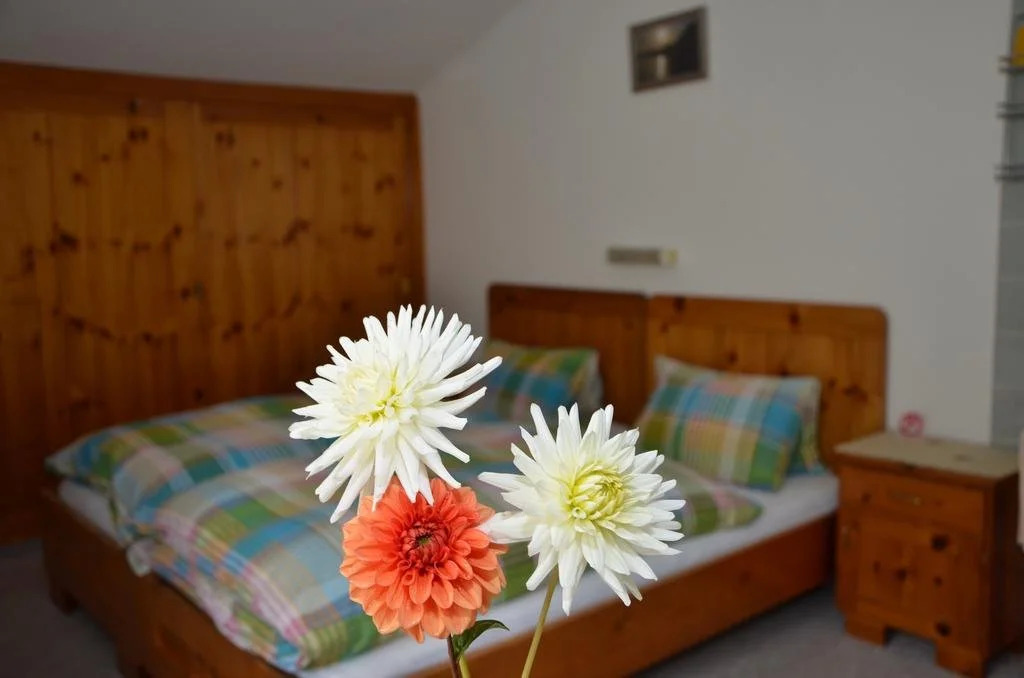 Haus Dachstein Schnitzer